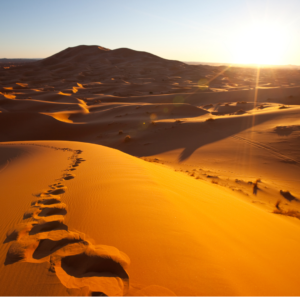 Nossos Desertos