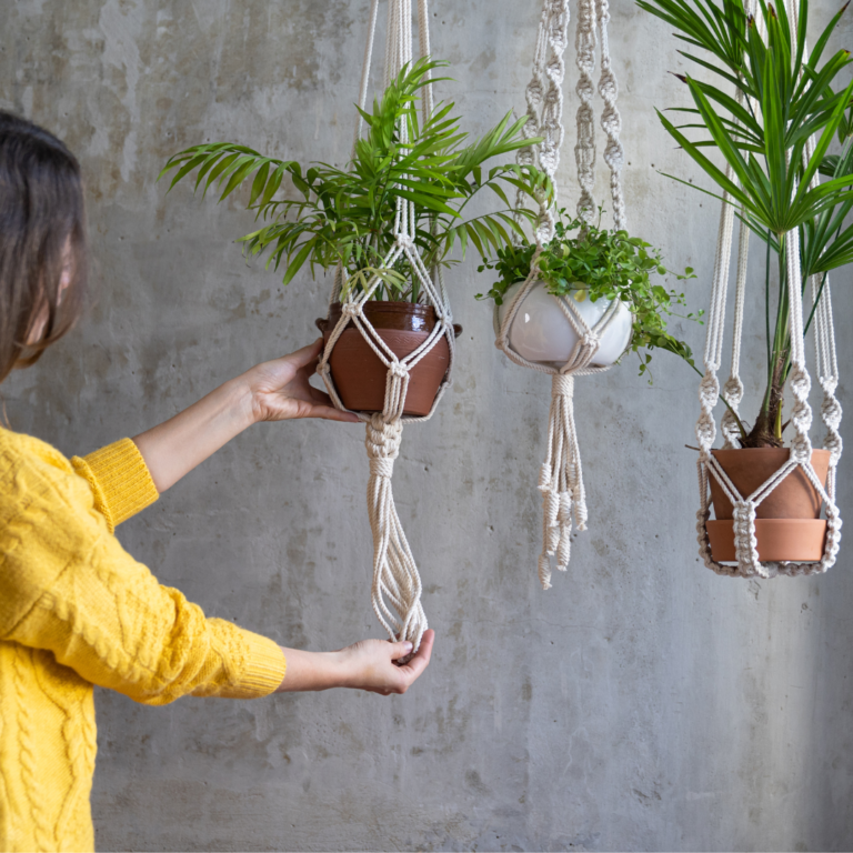 plantas para combater o estresse.